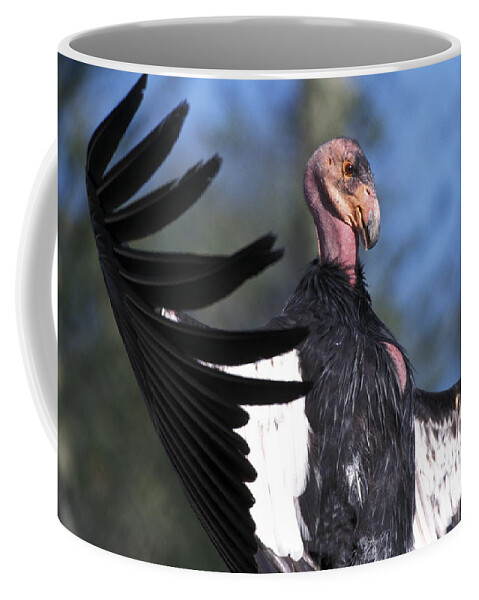Condor Coffee Mug featuring the photograph California Condor by Mark Newman