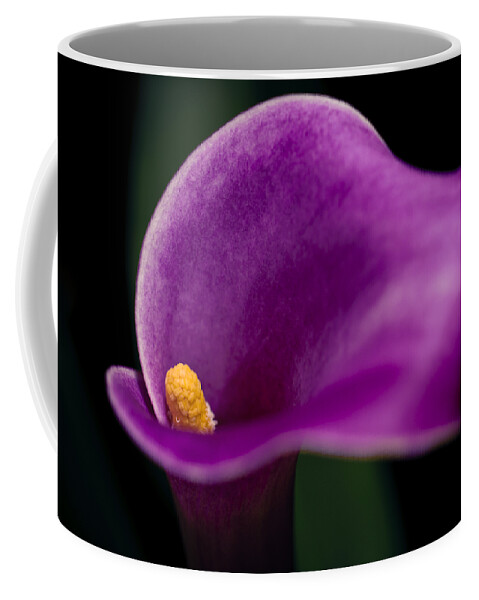 Blossom Coffee Mug featuring the photograph Calla Curves by Christi Kraft