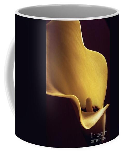 Calla Lily Coffee Mug featuring the photograph Calla Lily close up by Liz Leyden
