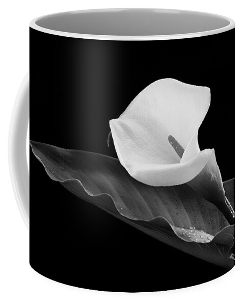 Calla Lili Coffee Mug featuring the photograph Calla lily flower by Michalakis Ppalis