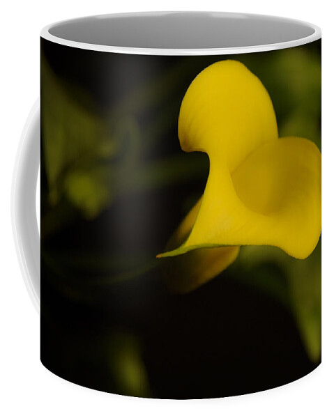 Calla Lilly Coffee Mug featuring the photograph Calla Lily Yellow III by Ron White