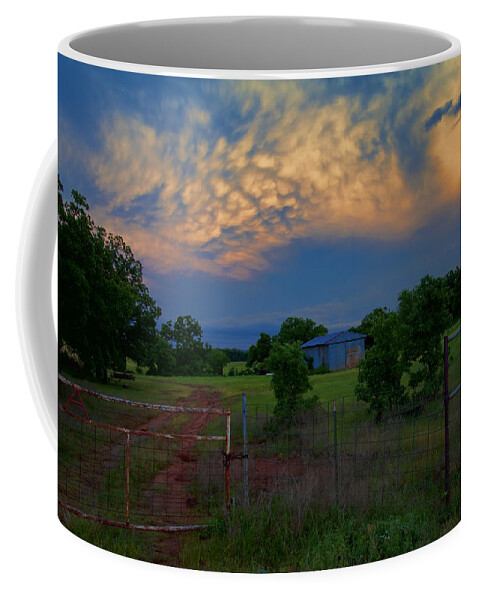 Landscape Coffee Mug featuring the photograph Calm Before The Storm by Toni Hopper