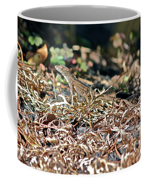 Nature Coffee Mug featuring the photograph Camouflaged Lizard by Cyril Maza