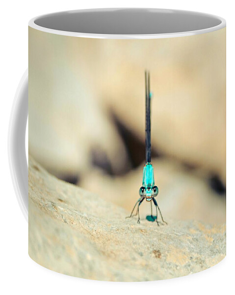  Green Dragonfly Coffee Mug featuring the photograph Can I Bug You Dragonfly by Peggy Franz