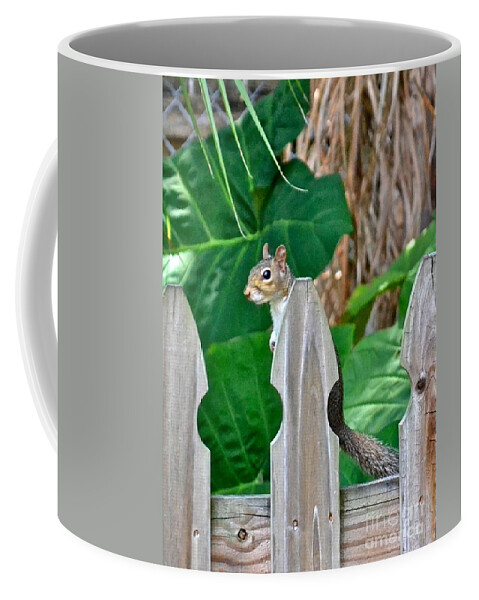 Squirrel Coffee Mug featuring the photograph Can She See Me Now by Carol Bradley