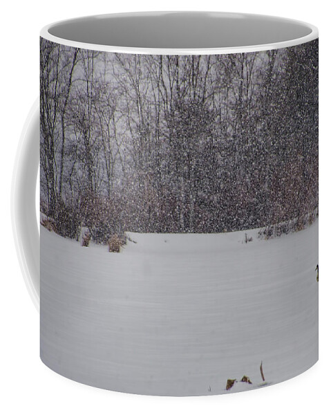 Canada Geese Coffee Mug featuring the photograph Canada Geese During a Snowfall by Beth Venner