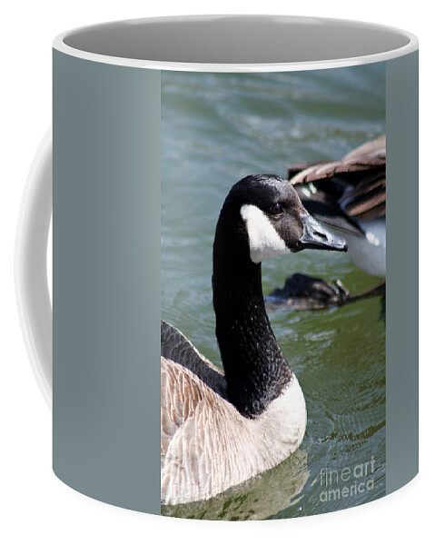 Christian Coffee Mug featuring the photograph Canada Goose Profile by Anita Oakley