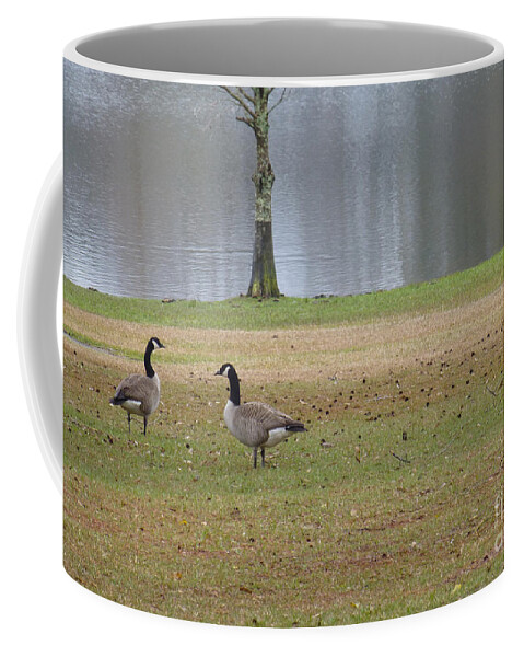Tree Coffee Mug featuring the photograph Canadian Geese Tourists by Joseph Baril