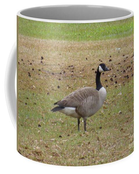 Tree Coffee Mug featuring the photograph Canadian Goose Strutting by Joseph Baril