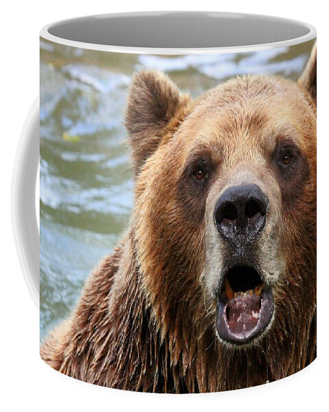 Animal Coffee Mug featuring the photograph Canadian Grizzly by Davandra Cribbie
