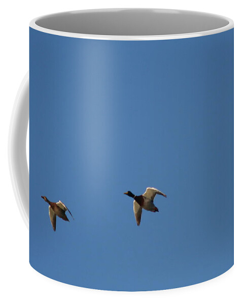 Flight Coffee Mug featuring the photograph Canard Flight by David S Reynolds