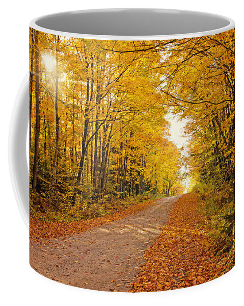 Fall Foliage Coffee Mug featuring the photograph Canopy of Fall by Gwen Gibson