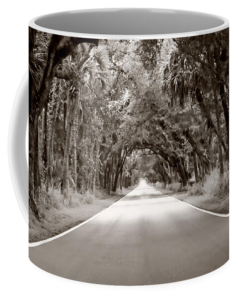 Trees Coffee Mug featuring the photograph Canopy of Trees by Bill Howard