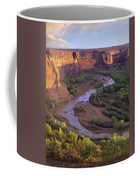 Feb0514 Coffee Mug featuring the photograph Canyon De Chelly From Tsegi Overlook by Tim Fitzharris