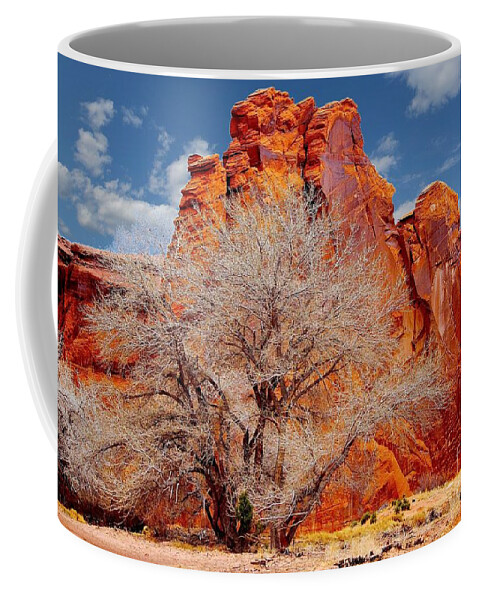 Canyons Coffee Mug featuring the photograph Canyon de Chelly - Spring by Barbara Zahno