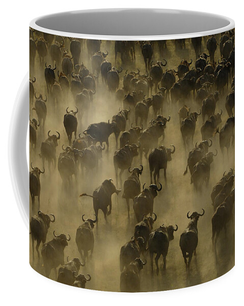 Feb0514 Coffee Mug featuring the photograph Cape Buffalo Herd Stampeding Africa by Pete Oxford
