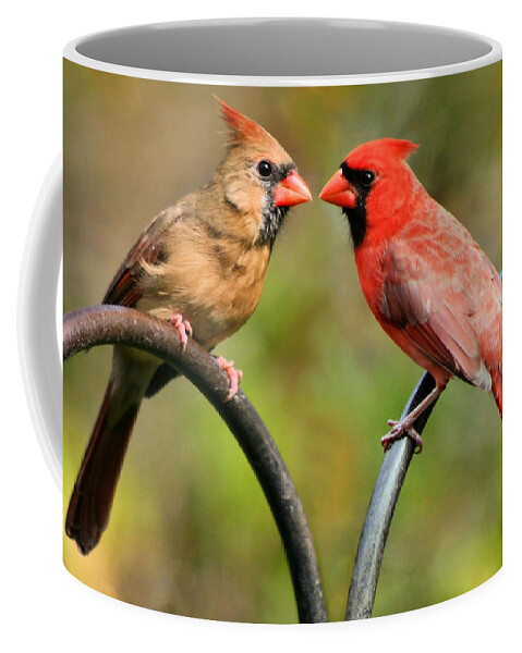 Cardinalis Coffee Mug featuring the photograph Cardinal Love by Kristin Elmquist