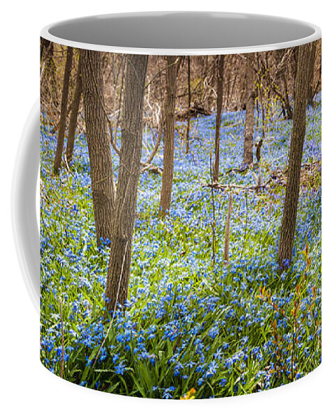 Flowers Coffee Mug featuring the photograph Carpet of blue flowers in spring forest 3 by Elena Elisseeva