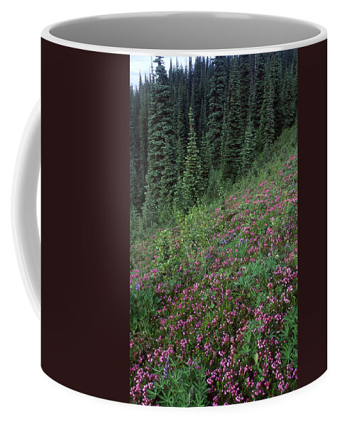 Floral Coffee Mug featuring the photograph Carpet Of Flowers by Ginny Barklow