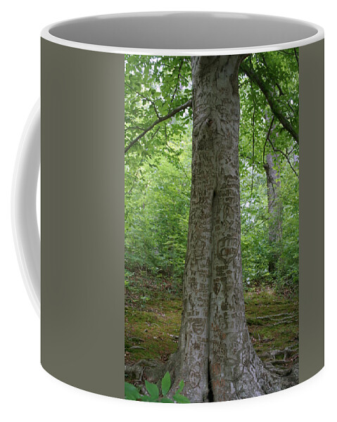 Initials Coffee Mug featuring the photograph Tennessee Dunbar Cave Carved Tree by Valerie Collins