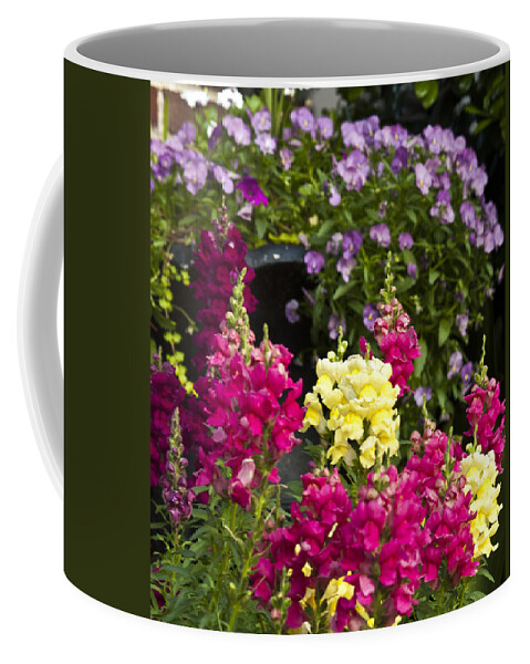Cumc Coffee Mug featuring the photograph Cascade of Color by Charles Hite