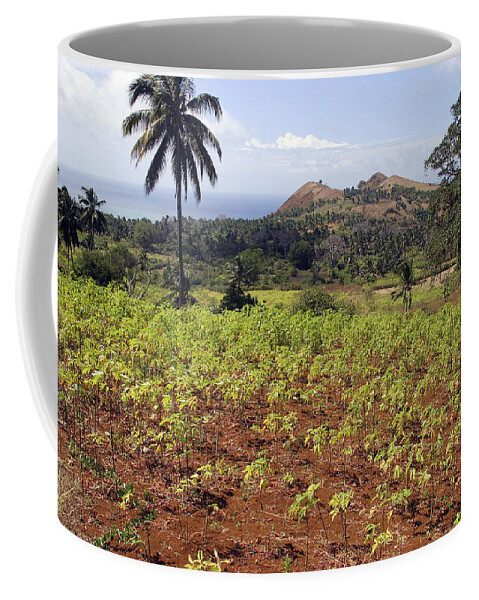 Cassava Coffee Mug featuring the photograph Cassava Crop by M. Watson