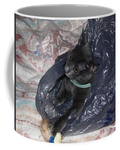 Cats Coffee Mug featuring the photograph Cat in a bag by Karl Rose