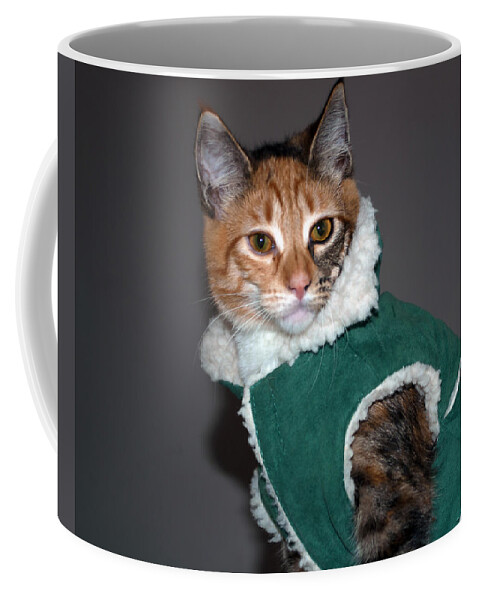 Cat Coffee Mug featuring the photograph Cat in Patrick's Coat by Tikvah's Hope