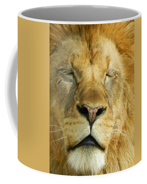 Cat Nap Coffee Mug featuring the photograph Cat Nap by Emmy Marie Vickers