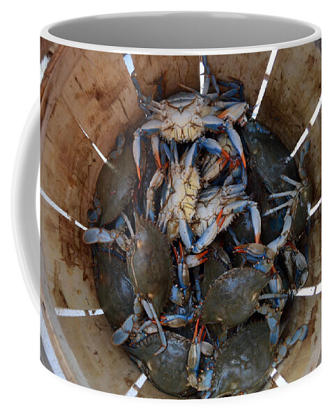 Crabs Coffee Mug featuring the photograph Catch of the Day by La Dolce Vita
