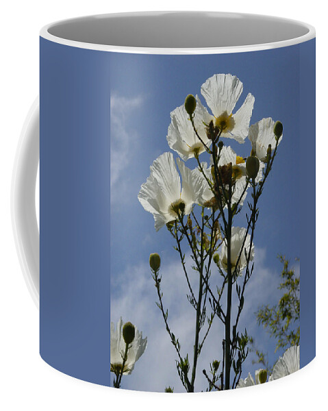 Flower Coffee Mug featuring the photograph Catching Sunlight by Noa Mohlabane
