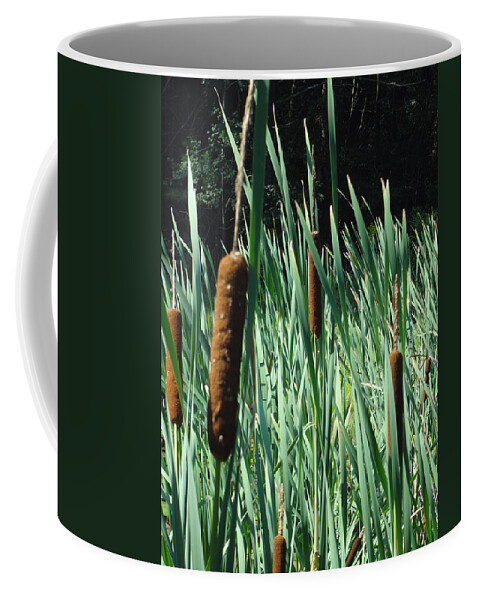 Cattail Coffee Mug featuring the photograph Cattails a plenty by Michael Porchik