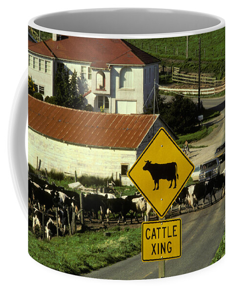 Animal Coffee Mug featuring the photograph Cattle Crossing by Ron Sanford