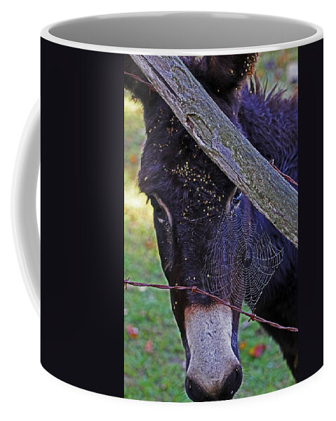 Caught In The Web Coffee Mug featuring the photograph Caught in the Web by Jennifer Robin