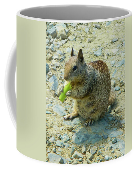 Nature Coffee Mug featuring the photograph Cellery Squirrel by Gallery Of Hope 