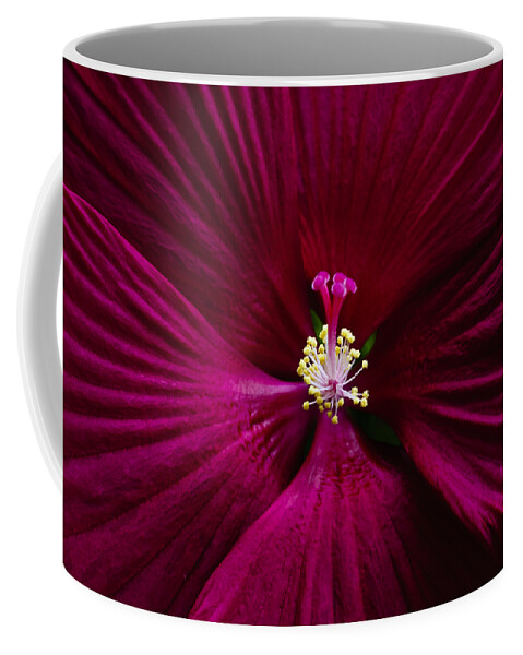 Botanical Coffee Mug featuring the photograph Center Folds by Christi Kraft