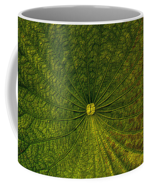 Center Coffee Mug featuring the photograph Center of the Earth by Nadalyn Larsen