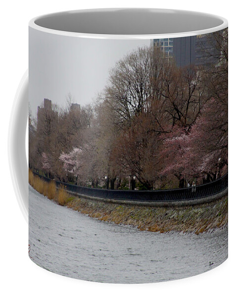 Central Park Coffee Mug featuring the photograph Central Park 4 by Chris Thomas