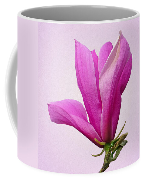 Pink Flowers Coffee Mug featuring the photograph Cerise Pink Magnolia Flower by Gill Billington