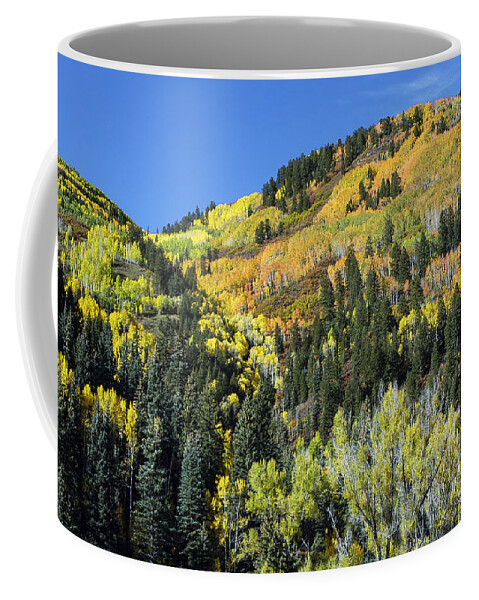 San Juan Mountains Coffee Mug featuring the photograph Changing Colors by Bob Phillips