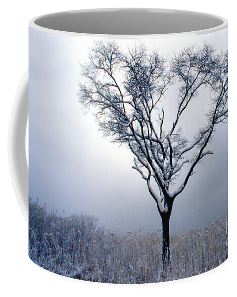 Scenic Tours Coffee Mug featuring the photograph Character by Skip Willits