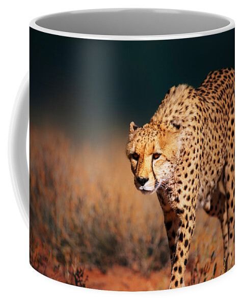 Cheetah Coffee Mug featuring the photograph Cheetah approaching from the front by Johan Swanepoel