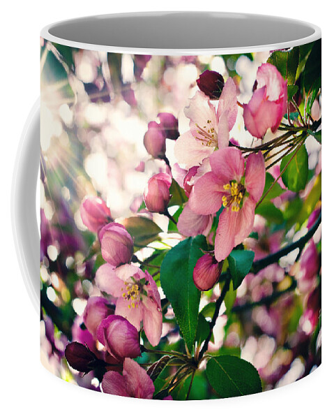 Cherry Blossom Coffee Mug featuring the photograph Cherry Blossom by Gwen Gibson