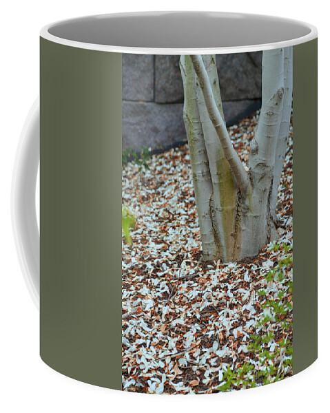 Architectural Coffee Mug featuring the photograph Cherry Blossoms 2013 - 002 by Metro DC Photography