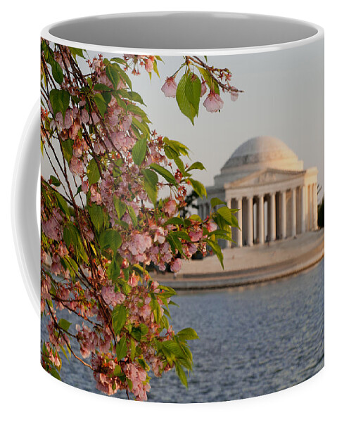 America Coffee Mug featuring the photograph Cherry Blossoms and the Jefferson Memorial 3 by Mitchell R Grosky