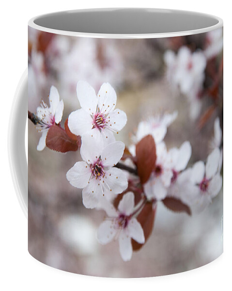 Blossom Coffee Mug featuring the photograph Cherry Blossoms by Hannes Cmarits