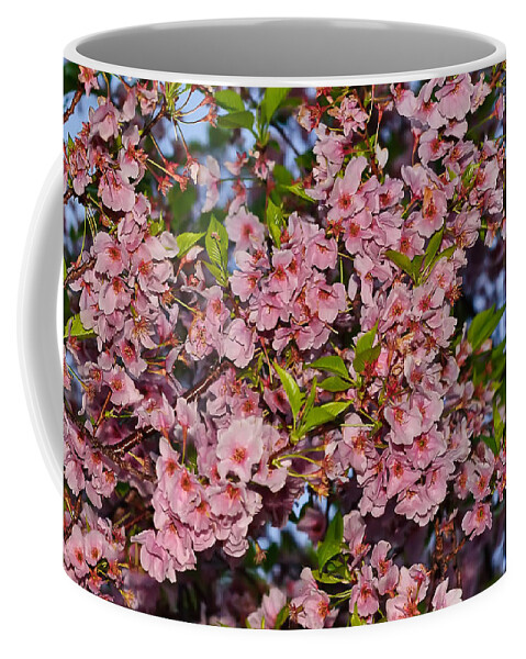 America Coffee Mug featuring the photograph Cherry Blossoms in Our Nation's Capital by Mitchell R Grosky