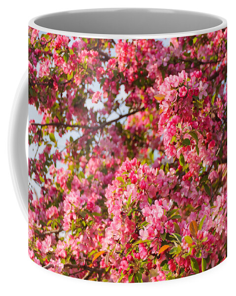 America Coffee Mug featuring the photograph Cherry Blossoms in Washington D.C. by Mitchell R Grosky