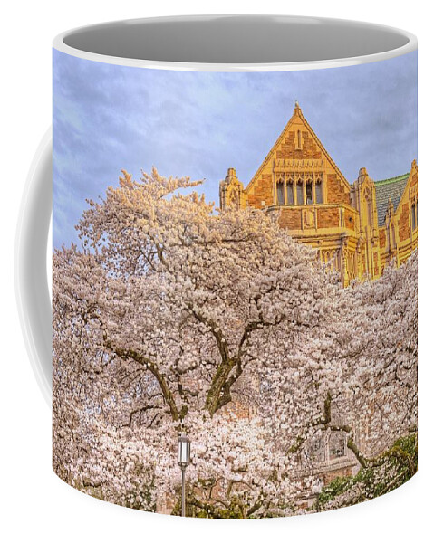 Cherry Blossoms Coffee Mug featuring the photograph Cherry Blossoms by Jeff Cook