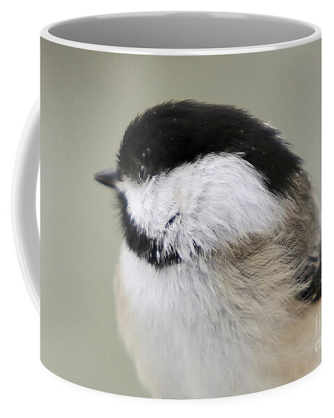 Chickadee Coffee Mug featuring the photograph Chickadee by Karin Pinkham